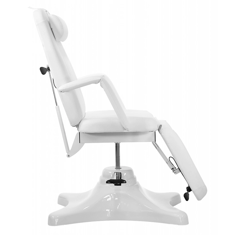 Pro Hydraulic Facial Spa Bed/Chair/Table
