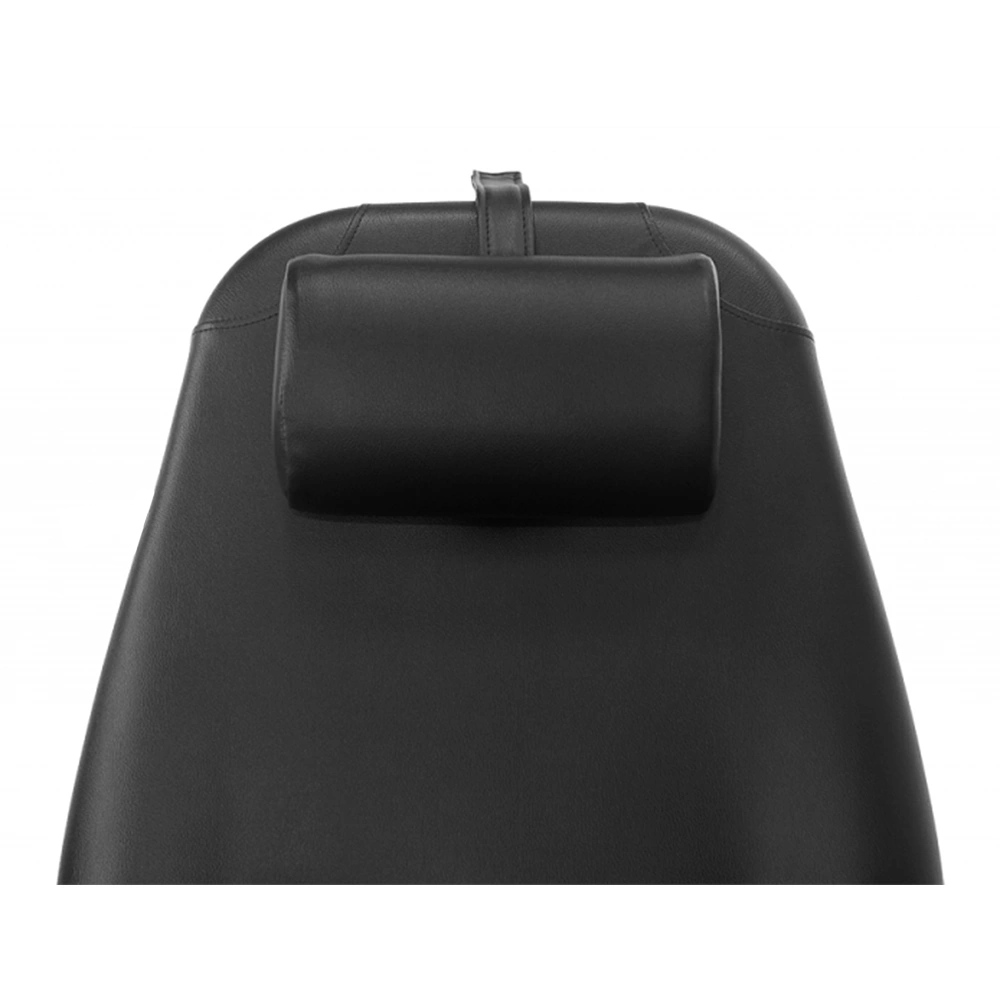 Pro Hydraulic Facial Spa Bed/Chair/Table