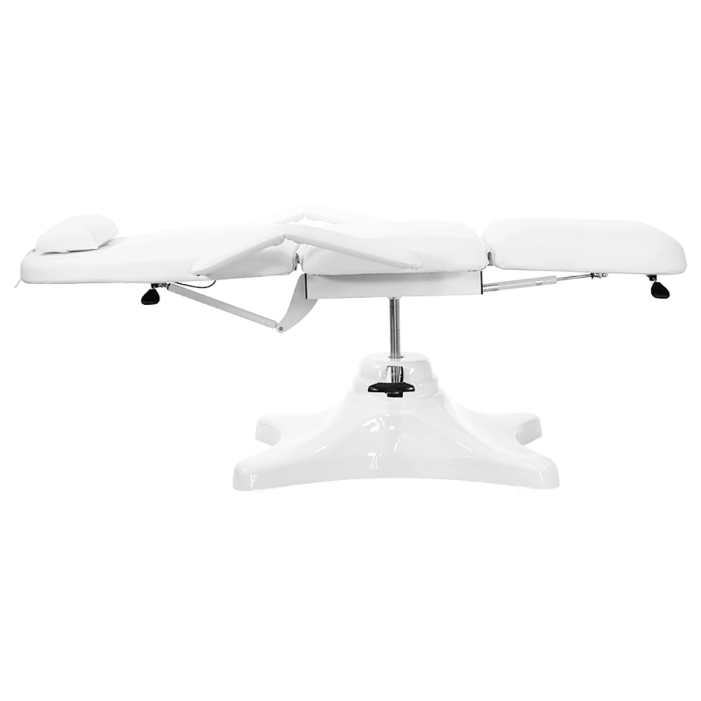 Pro Hydraulic Facial Spa Bed/Chair/Table