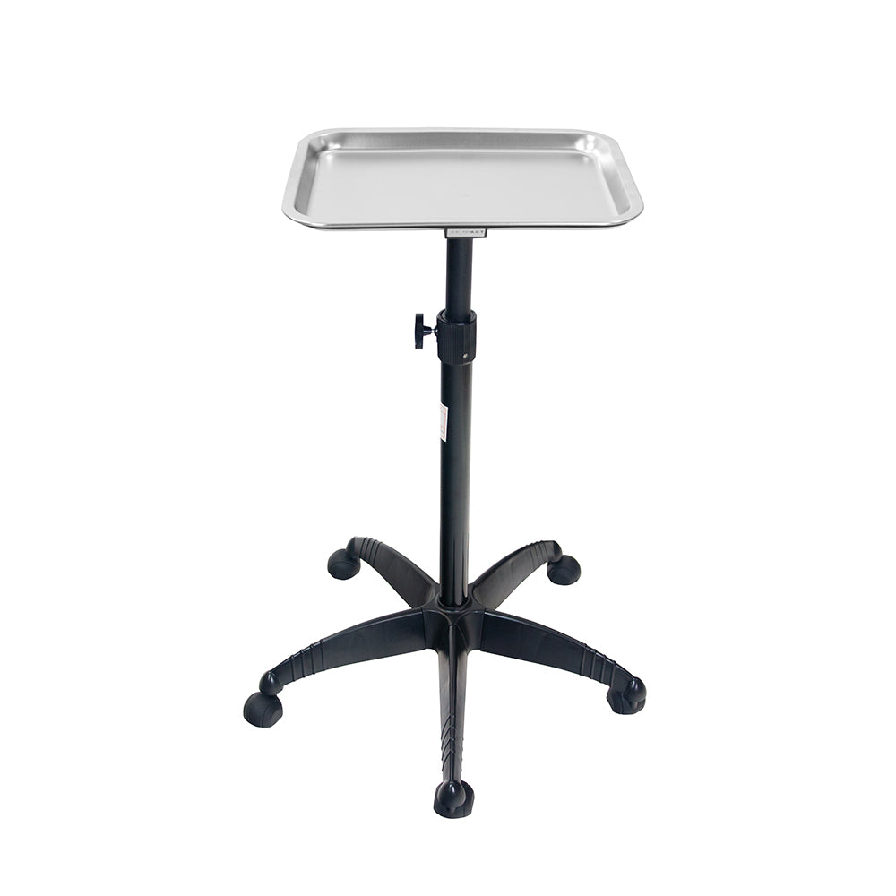 Salon Tray Cart Trolley (Steel, Removable)