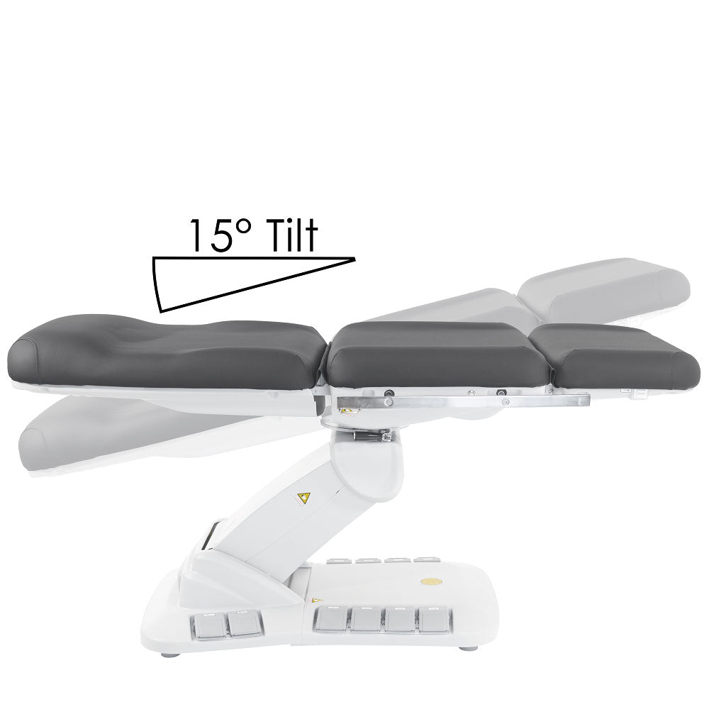 Kana Electric Medical Spa Treatment Table (Facial Chair/Bed)