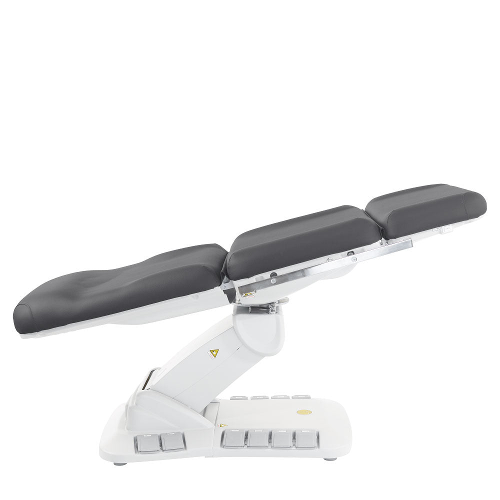 Kana Electric Medical Spa Treatment Table (Facial Chair/Bed)