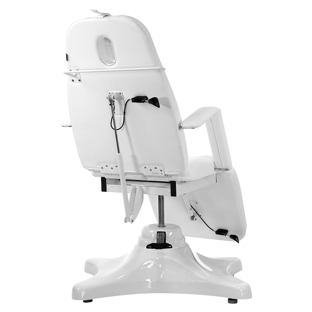Pro Hydraulic Facial Spa Bed/Chair/Table
