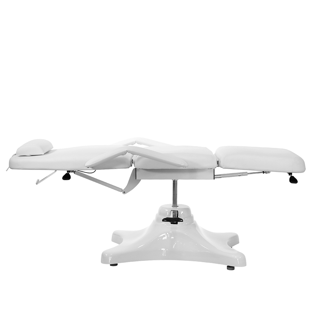 Pro Hydraulic Facial Spa Bed/Chair/Table
