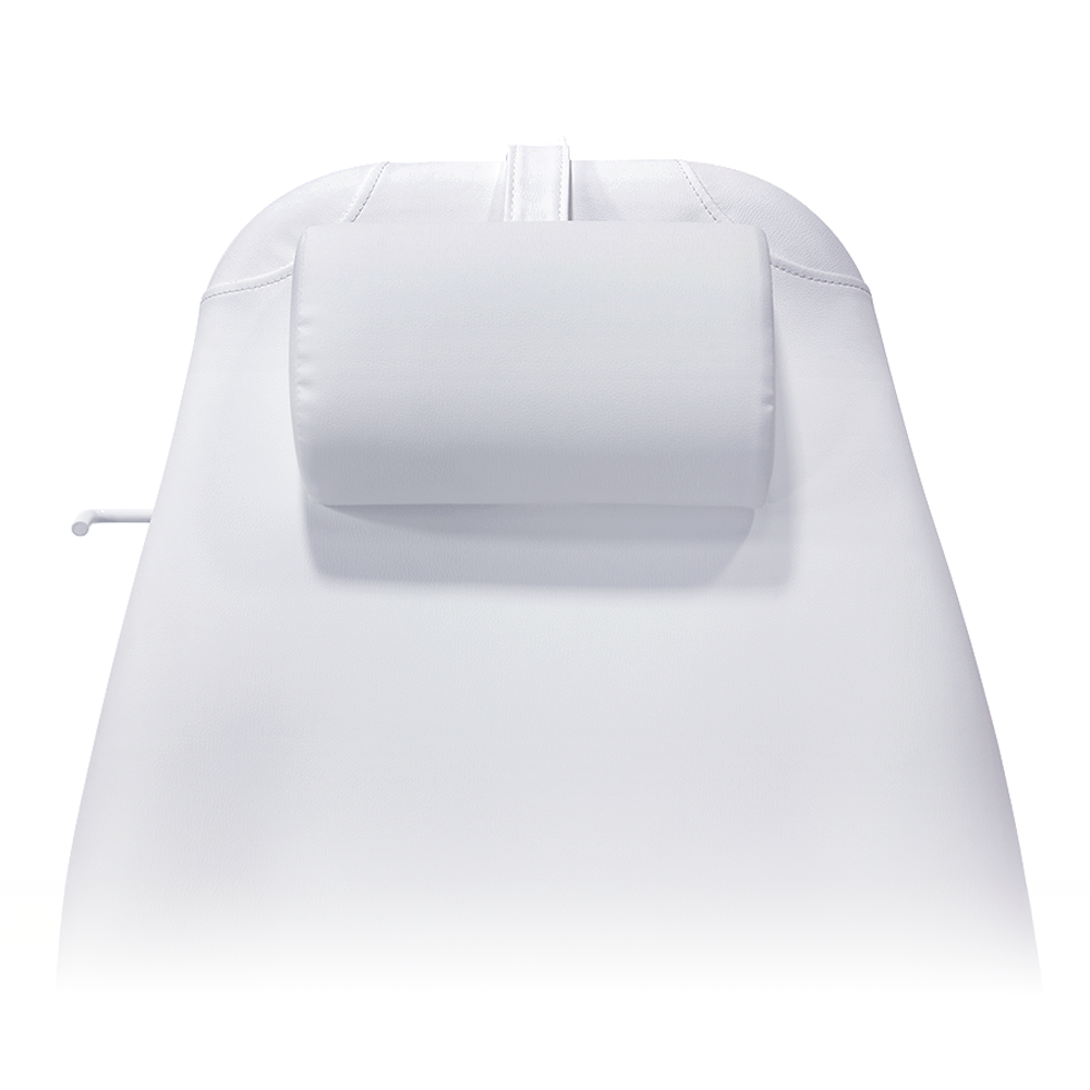 Pro Hydraulic Facial Spa Bed/Chair/Table