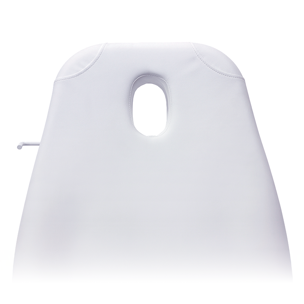 Pro Hydraulic Facial Spa Bed/Chair/Table