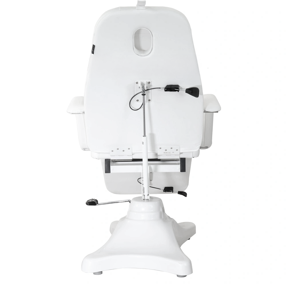 Pro Hydraulic Facial Spa Bed/Chair/Table