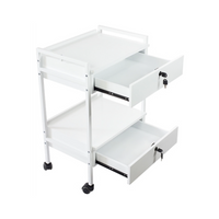 Pro Double Drawer Cart