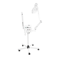 Facial Spa Aroma Ozone Steamer With Brush, Magnifying Lamp