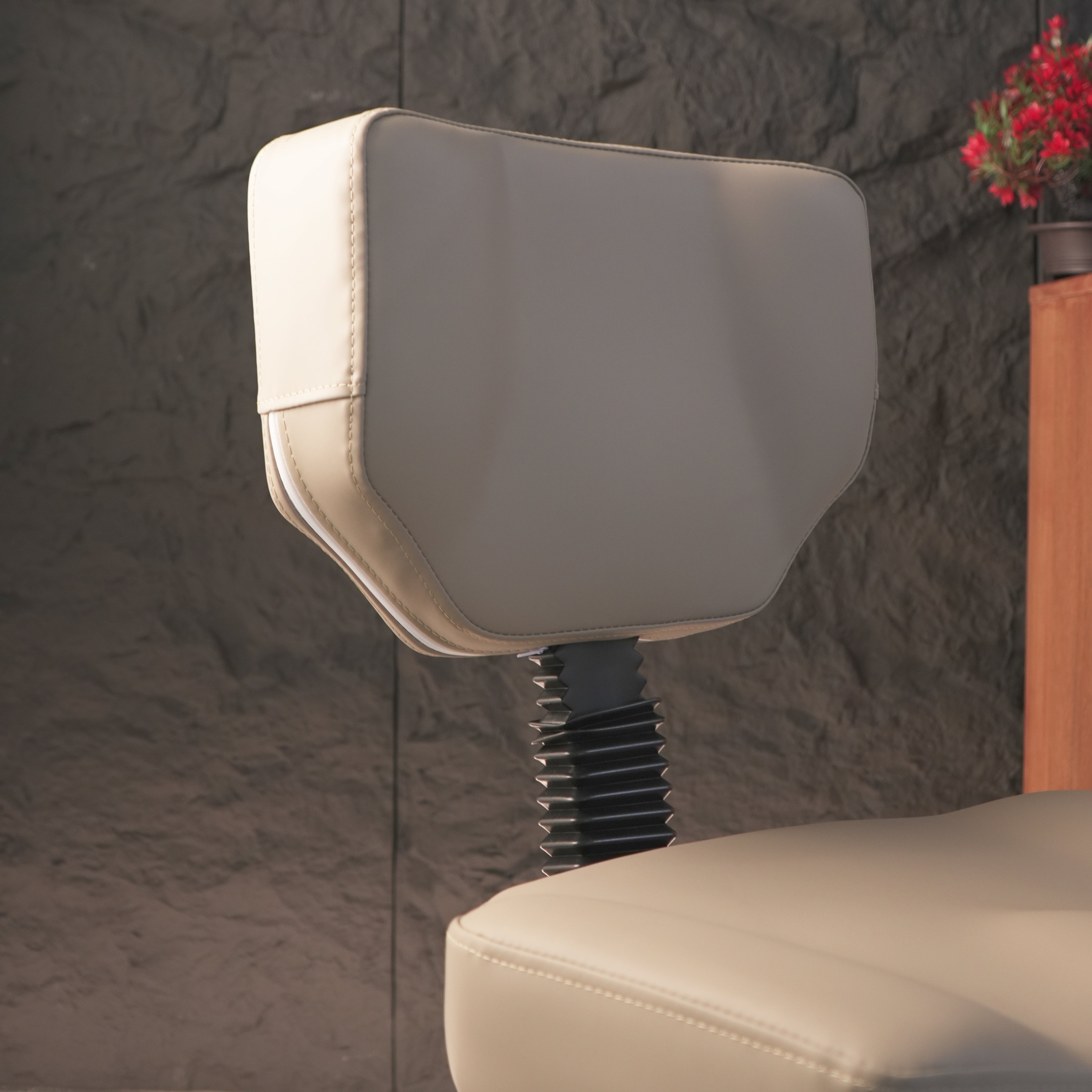 Comfortable Esthetician Chair