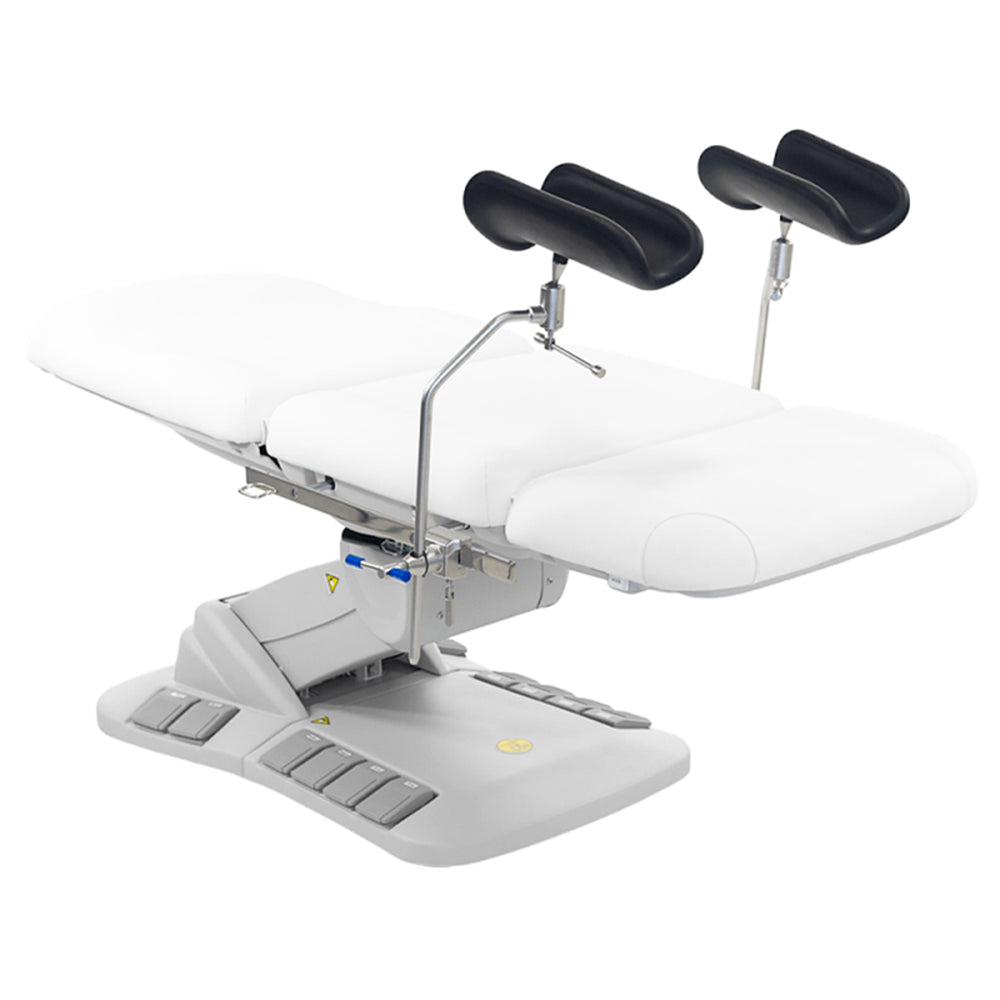 Kana Electric Medical Spa Treatment Table (Facial Chair/Bed)