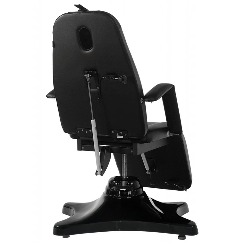 Pro Hydraulic Facial Spa Bed/Chair/Table