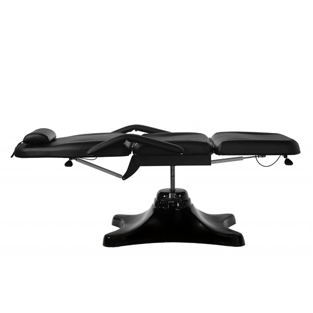 Pro Hydraulic Facial Spa Bed/Chair/Table