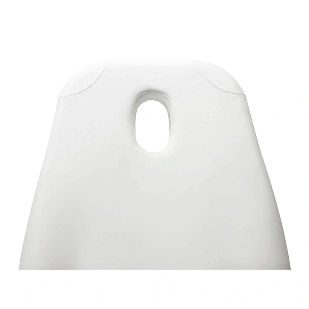 Pro Hydraulic Facial Spa Bed/Chair/Table