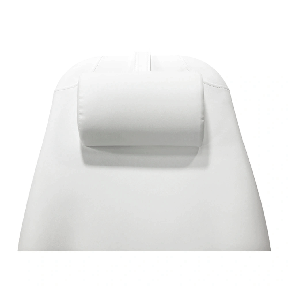 Pro Hydraulic Facial Spa Bed/Chair/Table