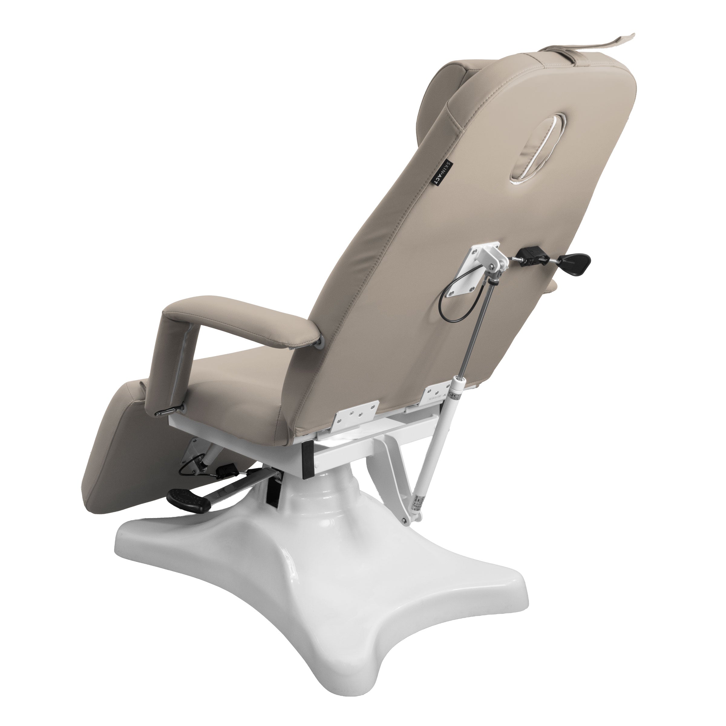 Pro Hydraulic Facial Spa Bed/Chair/Table