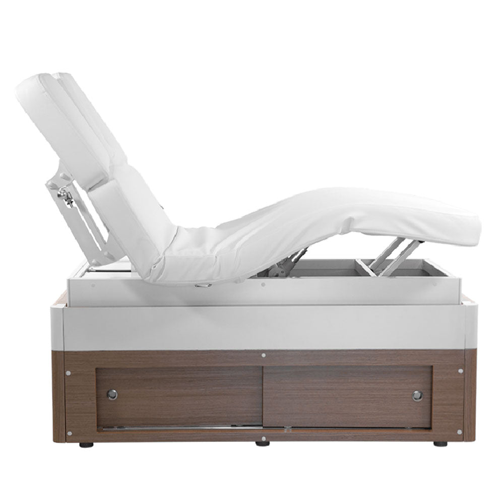 Lotus Electric Spa Treatment Table (Facial Chair/Bed)