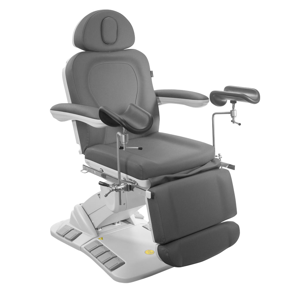 Palma Electric Medical Spa Treatment Table (Facial Chair/Bed)