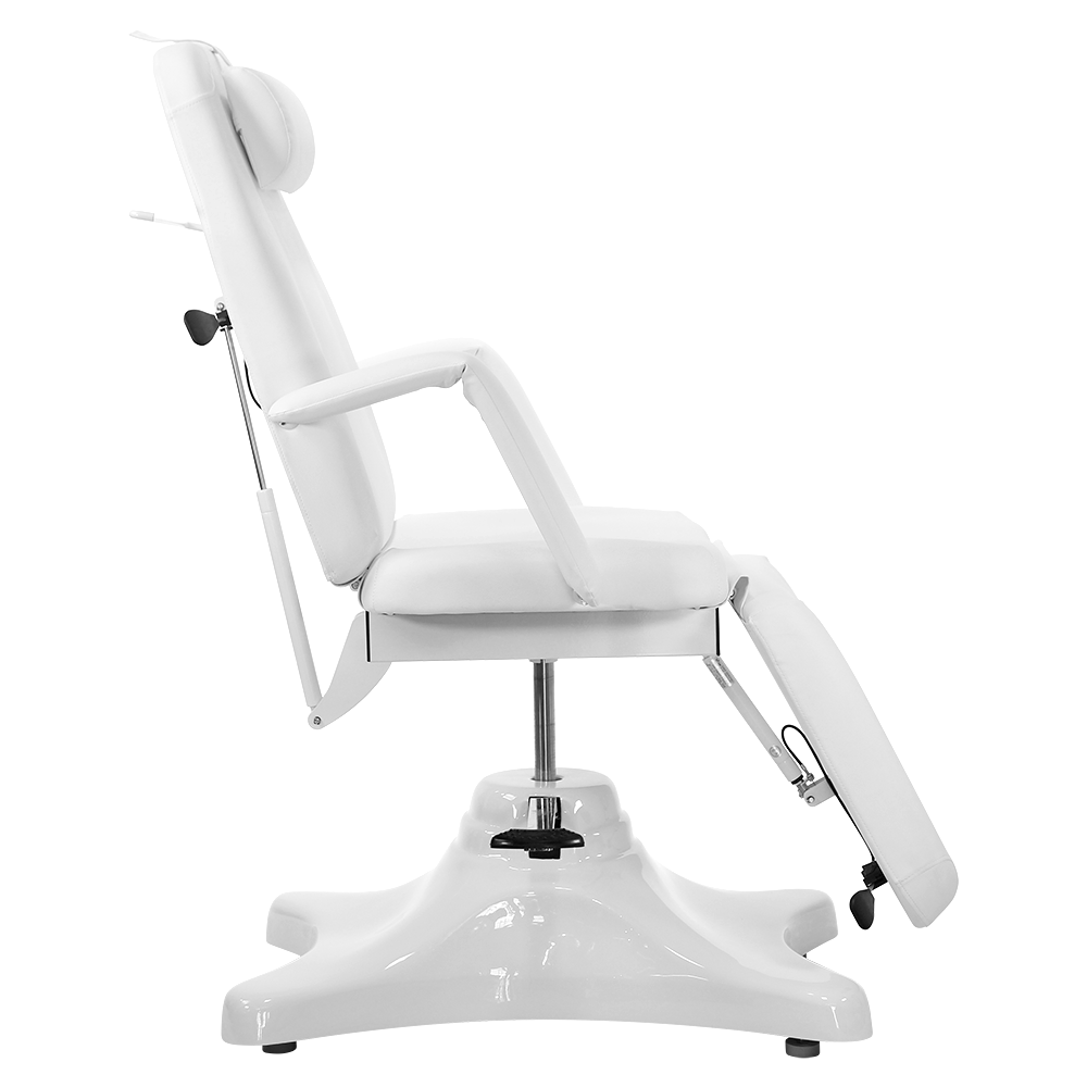 Pro Hydraulic Facial Spa Bed/Chair/Table