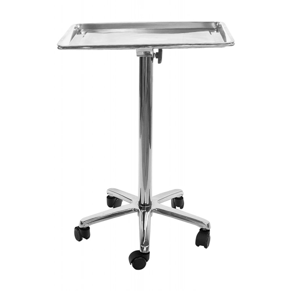 Stainless Steel Salon Tray On Wheels